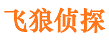 鹤峰飞狼私家侦探公司